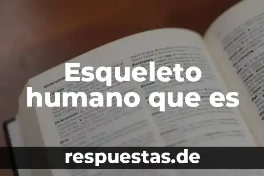 Que es el paquete word 7 Esqueleto humano que es