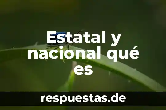 Qué es una olimpiada nacional 8 Estatal y nacional qué es