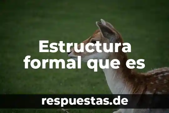 Qué es estructura en concepto de esem 3 Estructura formal que es