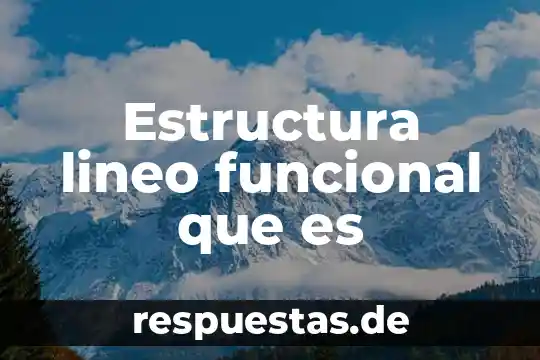 Qué es una estructura y cuáles existen 4 Estructura lineo funcional que es