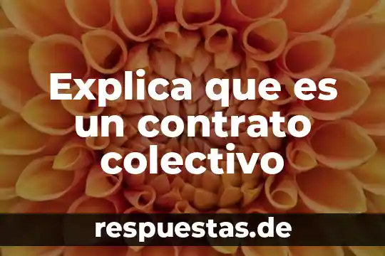 Contrato colectivo de trabajo que es y porque se firma 8 Explica que es un contrato colectivo