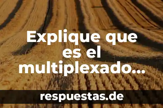 Qué es significa tiempo histórico 7 Explique que es el multiplexado por división de tiempo