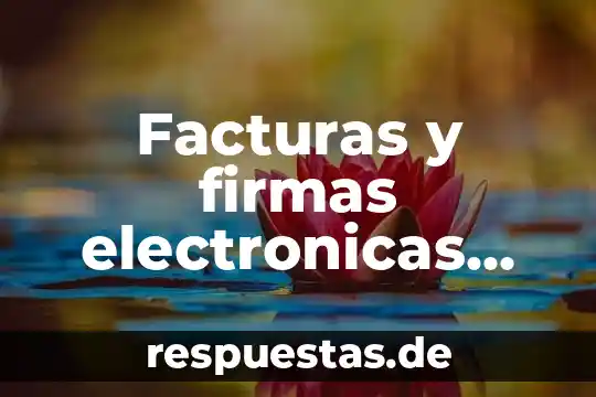 Qué es una tarjetas de control electrónicas 6 Facturas y firmas electronicas que es