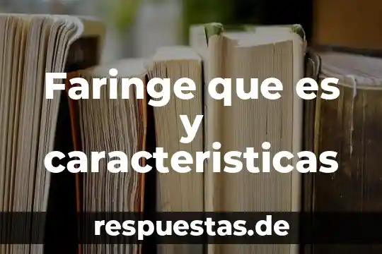 Que es una remodelación en arquitectura 6 Faringe que es y caracteristicas