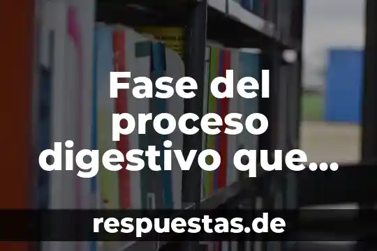 Que es la función del sistema digestivo yahoo 4 Fase del proceso digestivo que es la respuesta del cuerpo