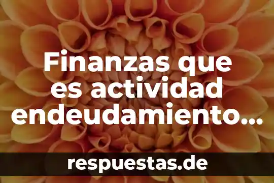 Que es las finanzas publicas 6 Finanzas que es actividad endeudamiento y rentabilidad