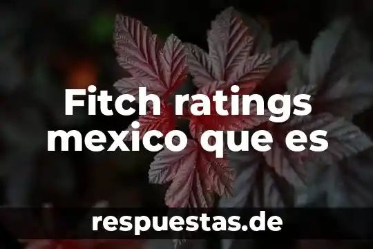 Que es para ti la bandera de mexico 3 Fitch ratings mexico que es