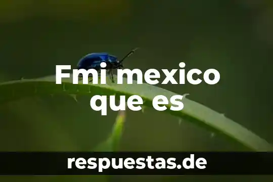 Que es la ce mexico 8 Fmi mexico que es