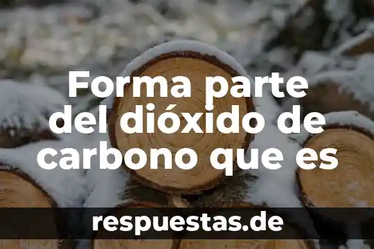 Que es ser parte de una sociedad 4 Forma parte del dióxido de carbono que es