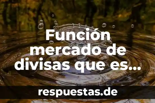Función mercado de divisas que es una moneda vehicular