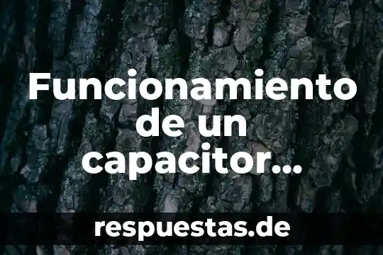 Qué es un flotador eléctrico 3 Funcionamiento de un capacitor recordemos que es un dispositivo electrico