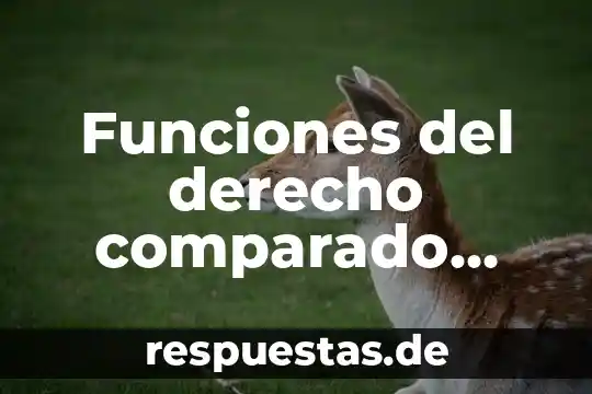Qué es el flujo de energía en la antropología ecológica 8 Funciones del derecho comparado que es