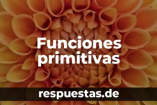 Funciones primitivas