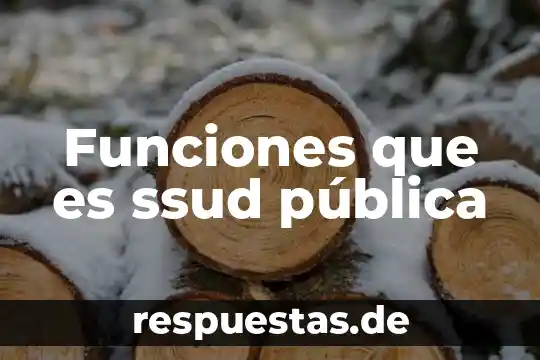 Que es funcion publica 4 Funciones que es ssud pública