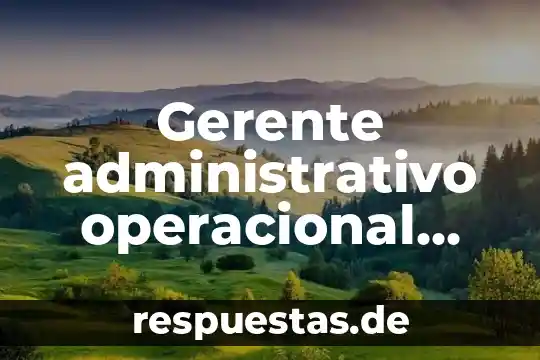 Qué es una definición de una variable operacional 3 Gerente administrativo operacional que es