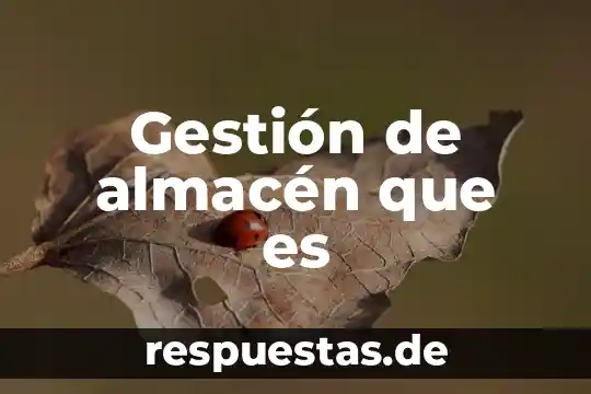 Gestión de almacén que es