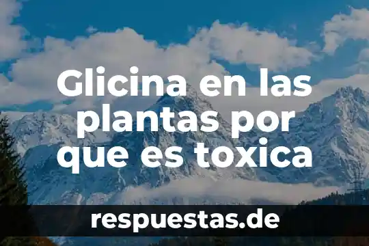 Nombres de plantas medicinales y que es lo que cura 7 Glicina en las plantas por que es toxica