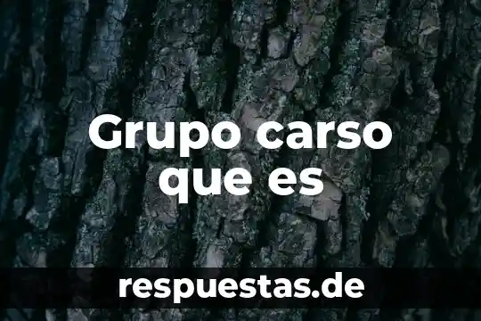 Que es un grupo especializado 7 Grupo carso que es