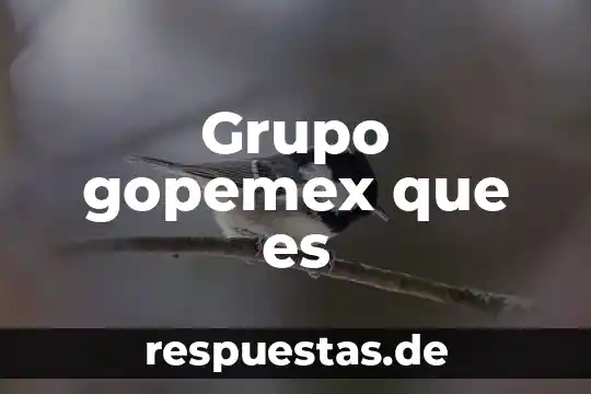 Que es un juicio critico de una obra 8 Grupo gopemex que es