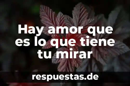 Que es la hipocresía y porque hay que hacerle frente 3 Hay amor que es lo que tiene tu mirar