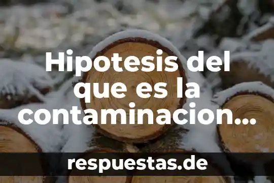 Qué es hipótesis aditiva en administración 3 Hipotesis del que es la contaminacion del agua
