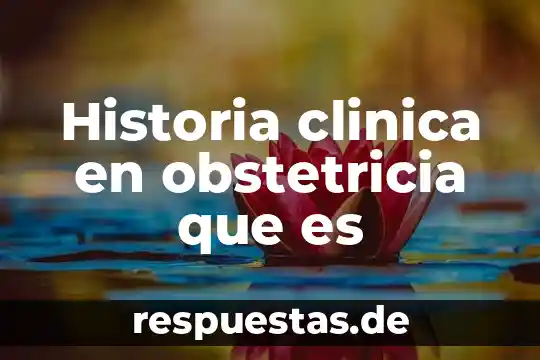 Que es una historia clinica para que sirve 3 Historia clinica en obstetricia que es