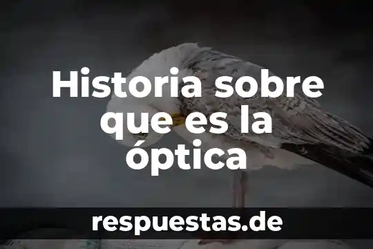 Qué es la física óptica 8 Historia sobre que es la óptica