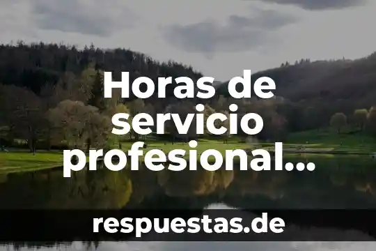 Qué es un despacho con servicio de auditoría concepto 8 Horas de servicio profesional que es