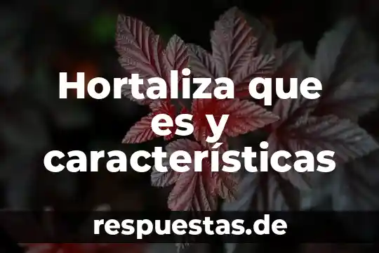 Que es un proyecto de tesis de investigacion 7 Hortaliza que es y características