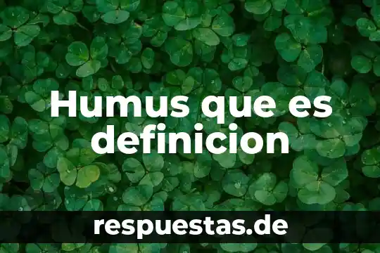 Humus que es definicion