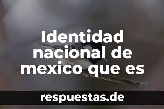 Qué es industria nacional 3 Identidad nacional de mexico que es