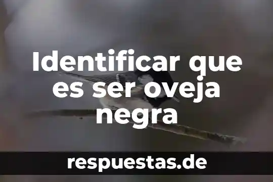 Qué es sanborns antes de ser restaurante 8 Identificar que es ser oveja negra