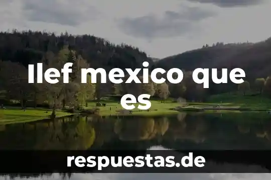 Qué es un escudo fiscal en México 6 Ilef mexico que es