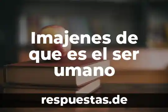 Que es ser una persona versada 8 Imajenes de que es el ser umano