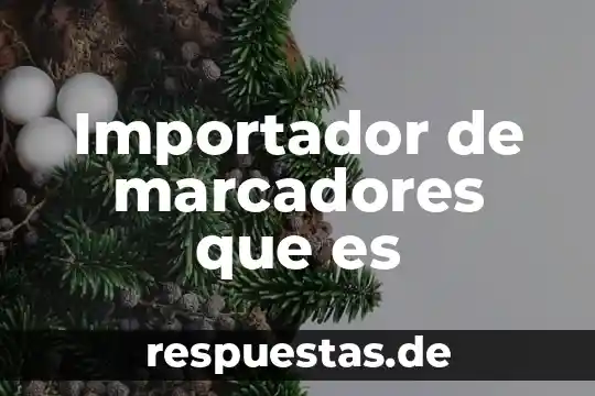 Que es sayfres internacional-portillo luna 8 Importador de marcadores que es