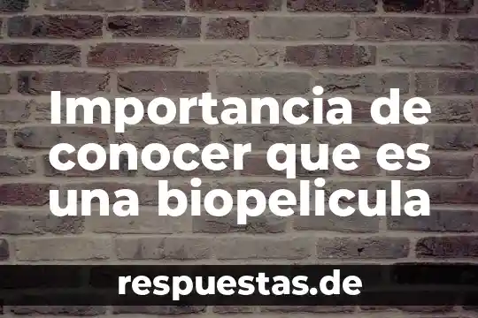 Que es conocer para el ser humano 5 Importancia de conocer que es una biopelicula
