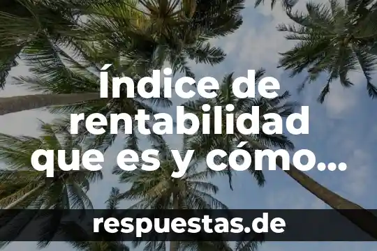 Índice de rentabilidad que es y cómo se aplica