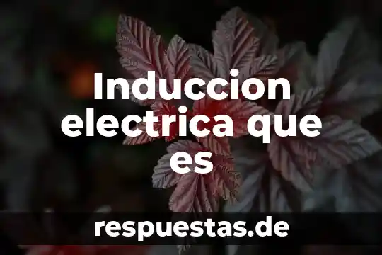 Qué es una señal eléctrica cuadrada 3 Induccion electrica que es