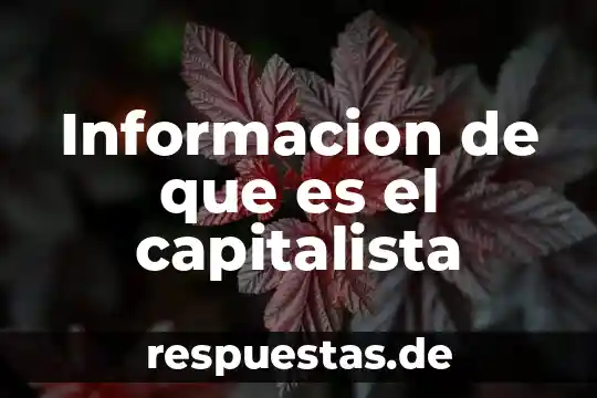 Sociedad capitalista que es 4 Informacion de que es el capitalista