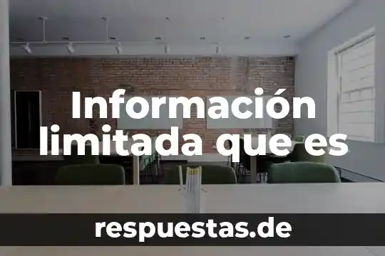 Que es una sociedad de responsabilidad limitada microindustrial 4 Información limitada que es