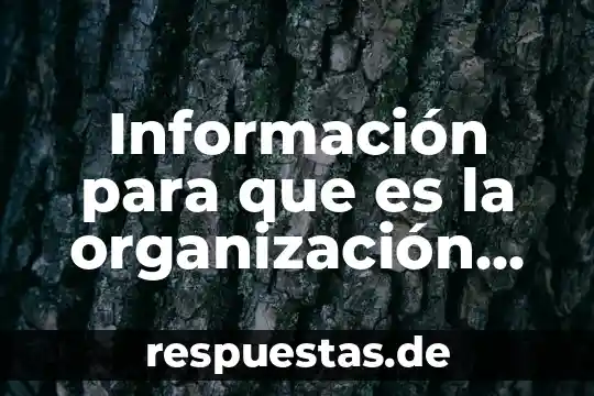 Qué es número del comercio 6 Información para que es la organización mundial del comercio