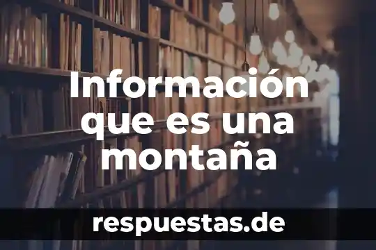 Que es la gerarquia de la informacion 8 Información que es una montaña