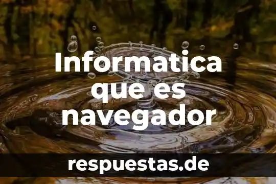 Informatica que es navegador