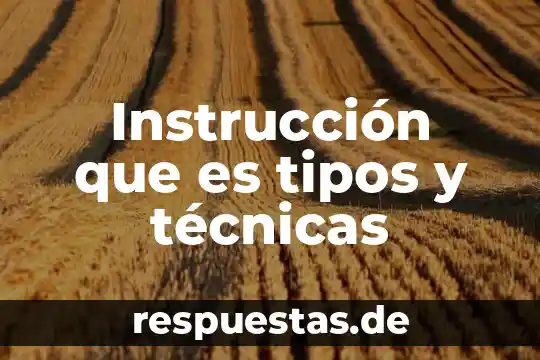 Instrucción que es tipos y técnicas