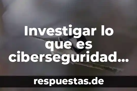 Qué es ciberseguridad concepto 5 Investigar lo que es ciberseguridad y ciudadanía digital