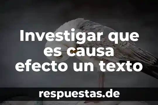 Investigar que es causa efecto un texto