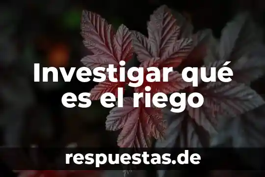 Investigar qué es el riego