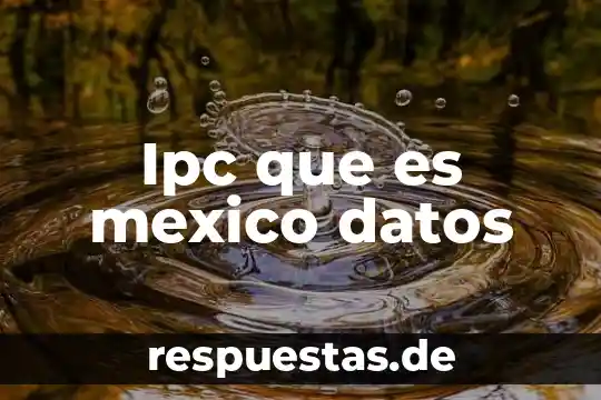 Que es una base de datos bien explicado el significado 3 Ipc que es mexico datos