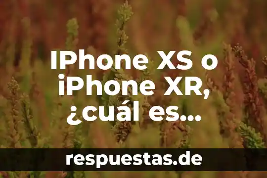 IPhone XS o iPhone XR, ¿cuál es mejor?