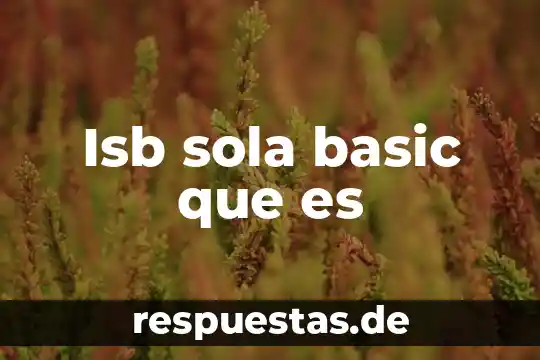 Qué es sola transferencia 3 Isb sola basic que es